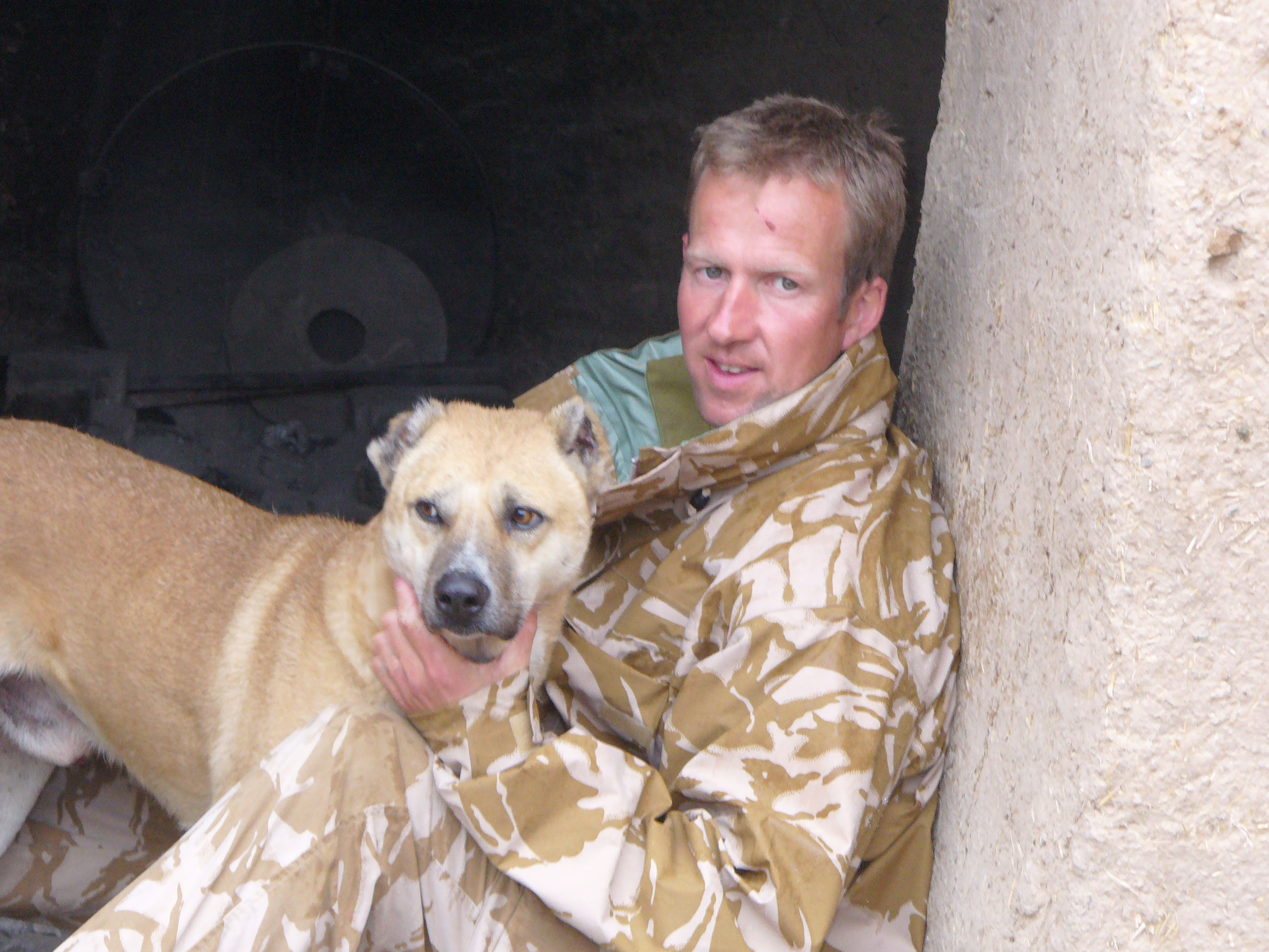 nowzad animal sanctuary