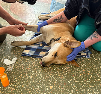 Medical Supplies and Crates