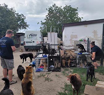 Shelter demand