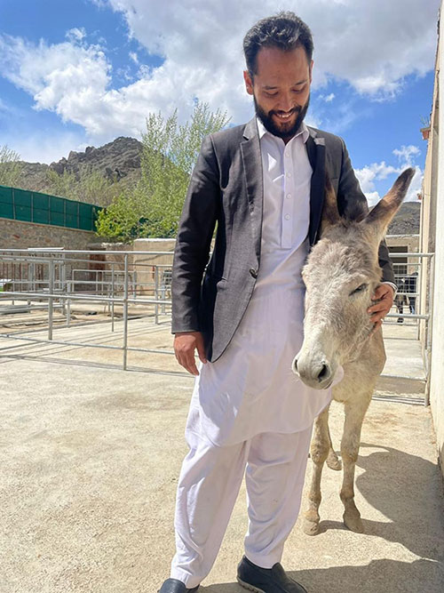 Nowzad Donkey Sanctuary